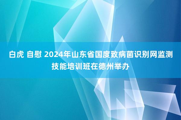 白虎 自慰 2024年山东省国度致病菌识别网监测技能培训班在德州举办