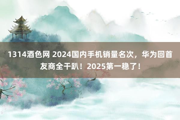 1314酒色网 2024国内手机销量名次，华为回首友商全干趴！2025第一稳了！