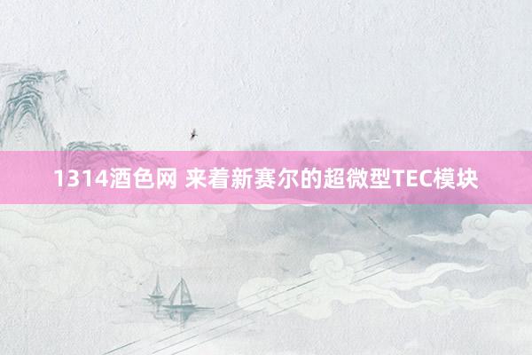 1314酒色网 来着新赛尔的超微型TEC模块