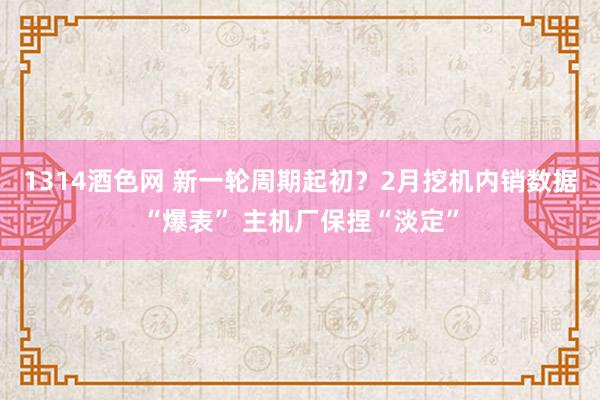 1314酒色网 新一轮周期起初？2月挖机内销数据“爆表” 主机厂保捏“淡定”