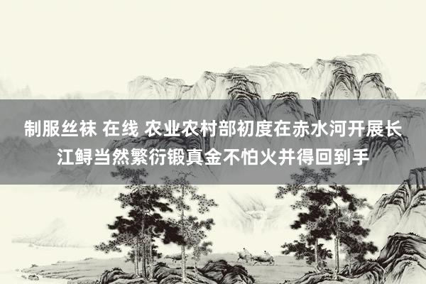 制服丝袜 在线 农业农村部初度在赤水河开展长江鲟当然繁衍锻真金不怕火并得回到手