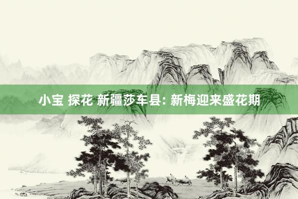 小宝 探花 新疆莎车县: 新梅迎来盛花期