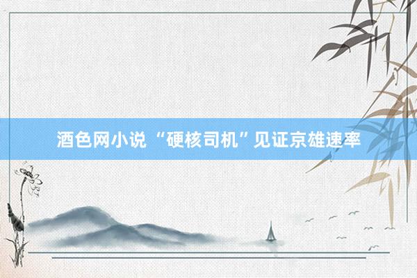 酒色网小说 “硬核司机”见证京雄速率