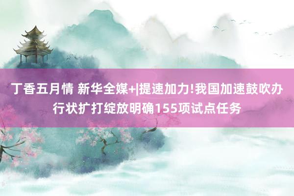 丁香五月情 新华全媒+|提速加力!我国加速鼓吹办行状扩打绽放明确155项试点任务