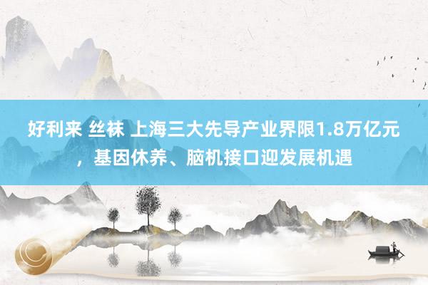 好利来 丝袜 上海三大先导产业界限1.8万亿元，基因休养、脑机接口迎发展机遇