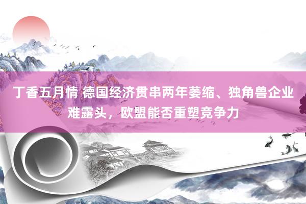 丁香五月情 德国经济贯串两年萎缩、独角兽企业难露头，欧盟能否重塑竞争力