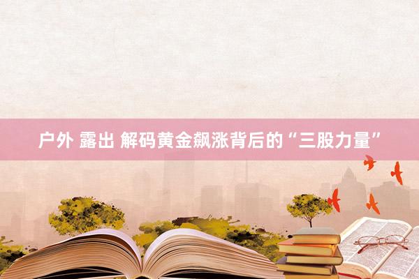 户外 露出 解码黄金飙涨背后的“三股力量”
