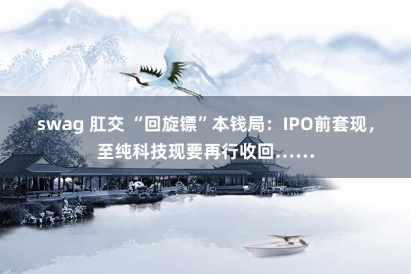 swag 肛交 “回旋镖”本钱局：IPO前套现，至纯科技现要再行收回……