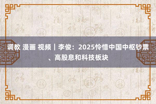 调教 漫画 视频｜李俊：2025怜惜中国中枢钞票、高股息和科技板块
